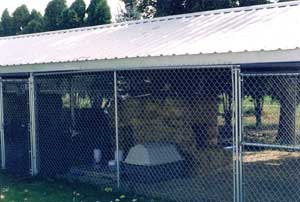 Cattery Kennels