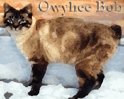 Owyhee Bob logo